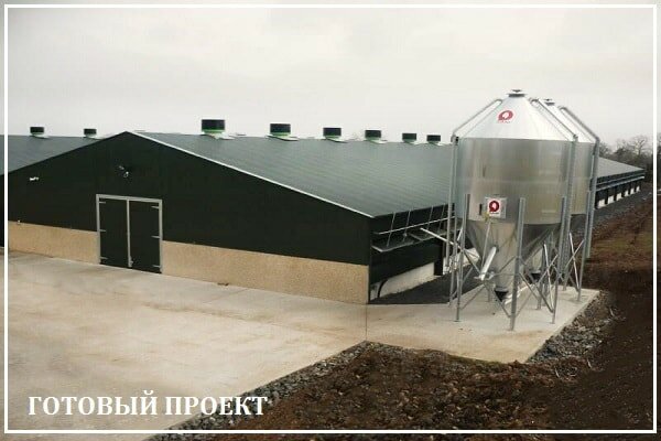 Этапы возведения птицефабрики от завода ВелесТент-рзм
